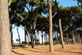 Location Park Rome Centre
